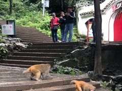 -黔灵山公园-南门售票处