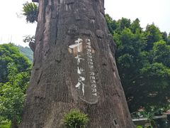 -青青世界
