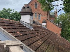 -上海佘山国家森林公园西佘山园