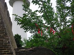 -烟台山景区