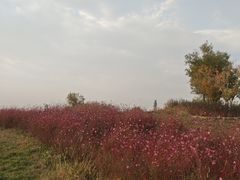 -汉长安城未央宫国家考古遗址公园