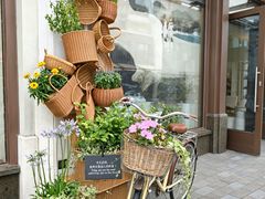 -比斯特上海购物村精品奥特莱斯