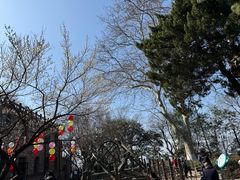 -紫金山天文台