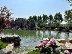 -静之湖度假区