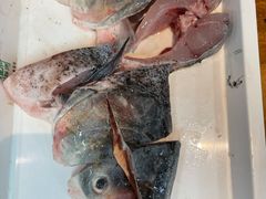 -胖师鱼馆非遗砂锅雅鱼(大北街店)