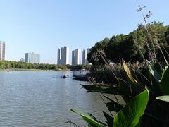 -南翔镇银翔湖公园