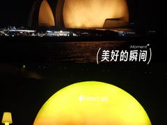 -野狸岛