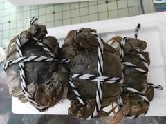 -七的湖·晚芳亭·阳澄湖农家菜·大闸蟹(莲花岛店)