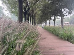 -汉长安城未央宫国家考古遗址公园