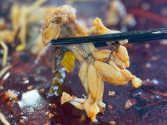 -老表牌·蛙蛙鸡冷锅鱼(成都东站店)