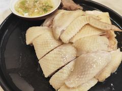 -清新鸡沙田乳鸽店(金融店)