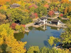 -红梅公园