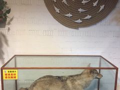 -宁海食府(大剧院店)
