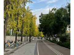 -成都市活水公园