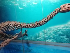 -自贡恐龙博物馆