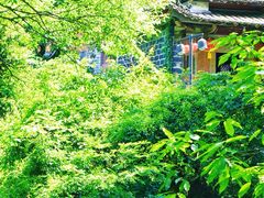 -安溪清水岩