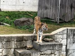 -杭州野生动物世界