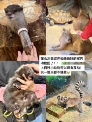-Zoolung Zoolung动物主题公园(海信广场店)