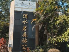 -滴水岩森林公园