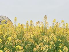 -中国天府农业博览园