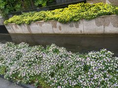 -宁波香格里拉大酒店