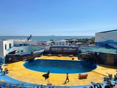 -海合安青岛极地海洋公园