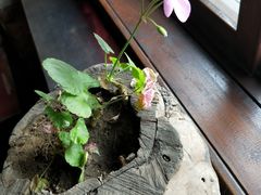 -陈熹公民族美食文化餐厅(中华广场店)