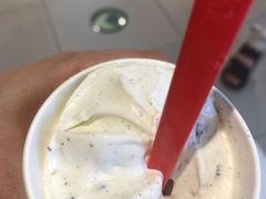 暴风雪系列-DQ·蛋糕·冰淇淋(金桥店)
