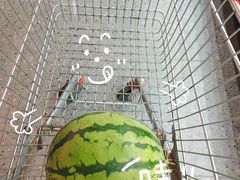 -砂之船奥特莱斯(合肥店)