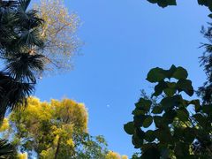 -深圳湾公园(南山区)