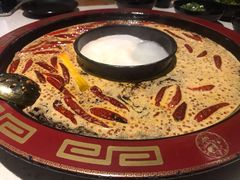 鸳鸯锅-骉骉老火锅(铁像寺路店)