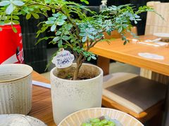 -CURRY YA 熟成咖哩專門店(深圳湾万象城店)