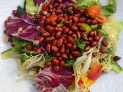 -春满园生态餐厅(南宫路店)