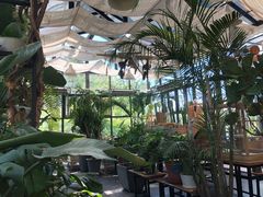 -北马山庄植趣咖啡
