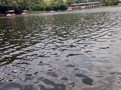 -黔灵山公园