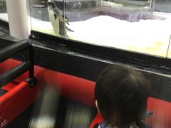 -悉尼海洋生物水族馆