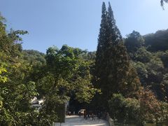 -龙宫洞风景区