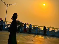 -宝安西湾红树林湿地公园