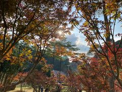 -广州市帽峰山景区