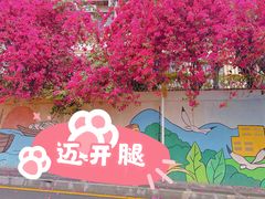 -小南山公园