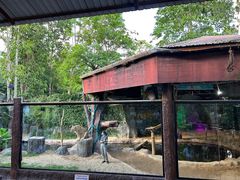 -清迈夜间动物园