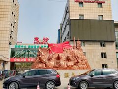 -中国人民解放军第九医学中心(306医院)