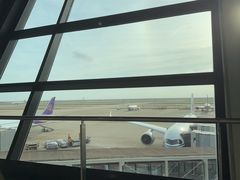 -上海浦东国际机场-T2航站楼