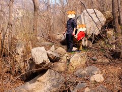 -大岭沟猕猴桃谷风景区