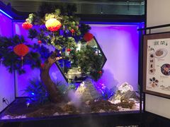 -绿茶餐厅(成都大悦城店)