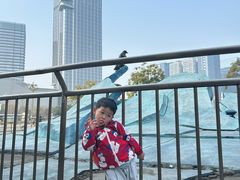 -海合安成都极地海洋公园