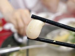 -花苑美食横琴生蚝火锅(拱北粤华路店)