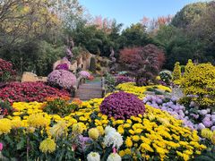 -杭州植物园
