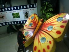 -上海昆虫博物馆