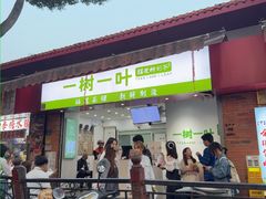 -一树一叶·福建茶档(石鼓路店)